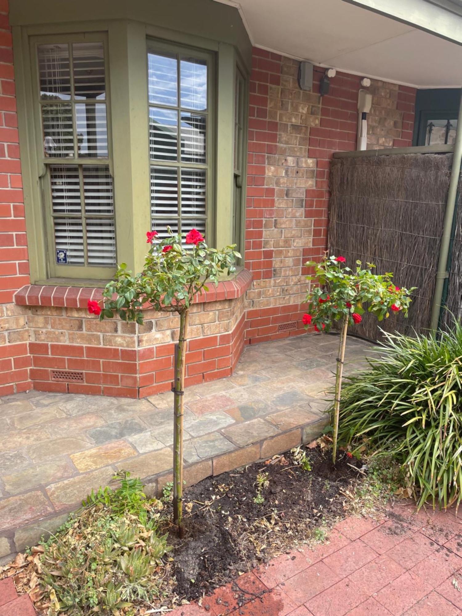 Adelaide Style Accommodation-Getaway In North Adelaide- Close To City ภายนอก รูปภาพ