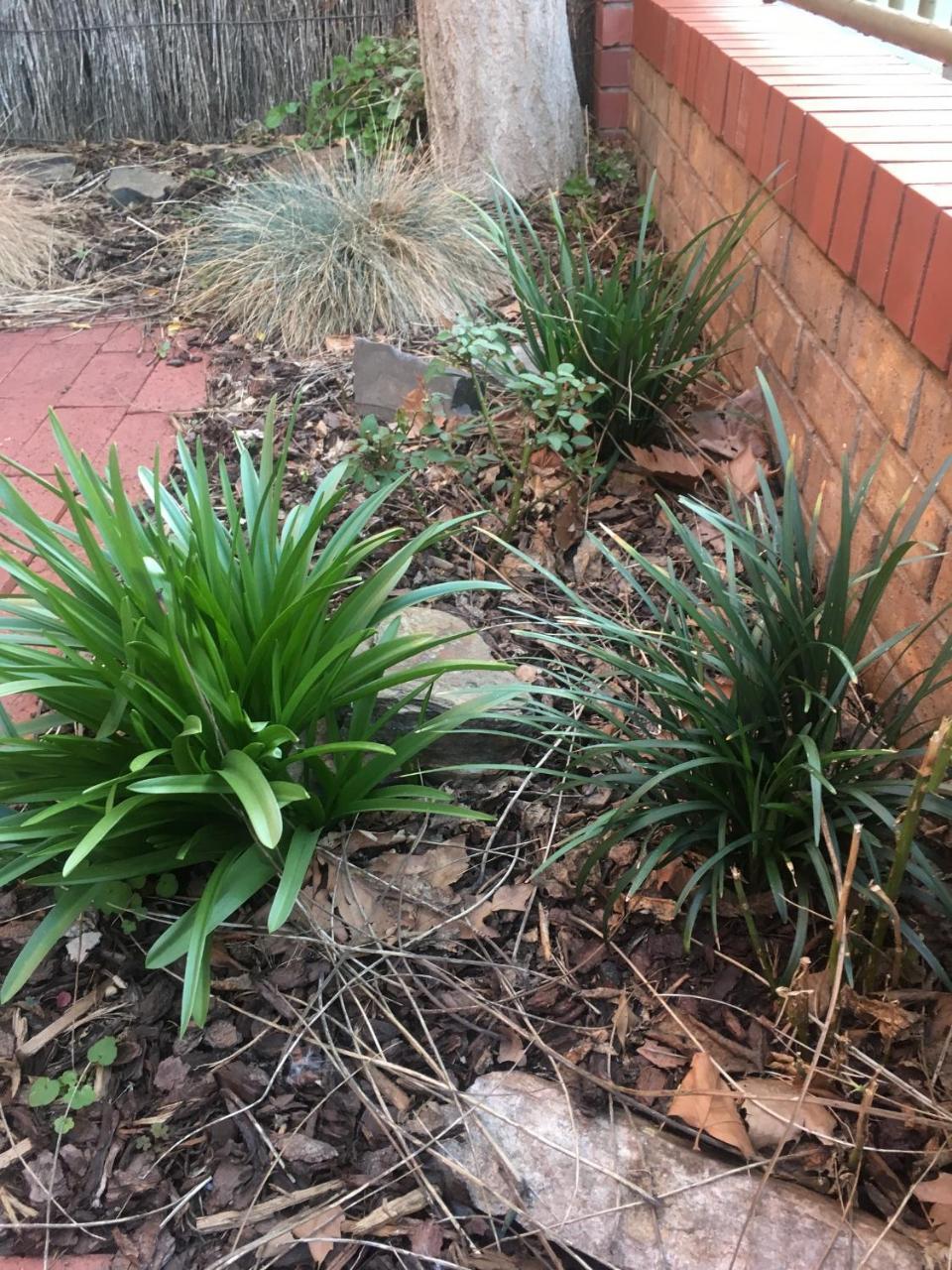 Adelaide Style Accommodation-Getaway In North Adelaide- Close To City ภายนอก รูปภาพ
