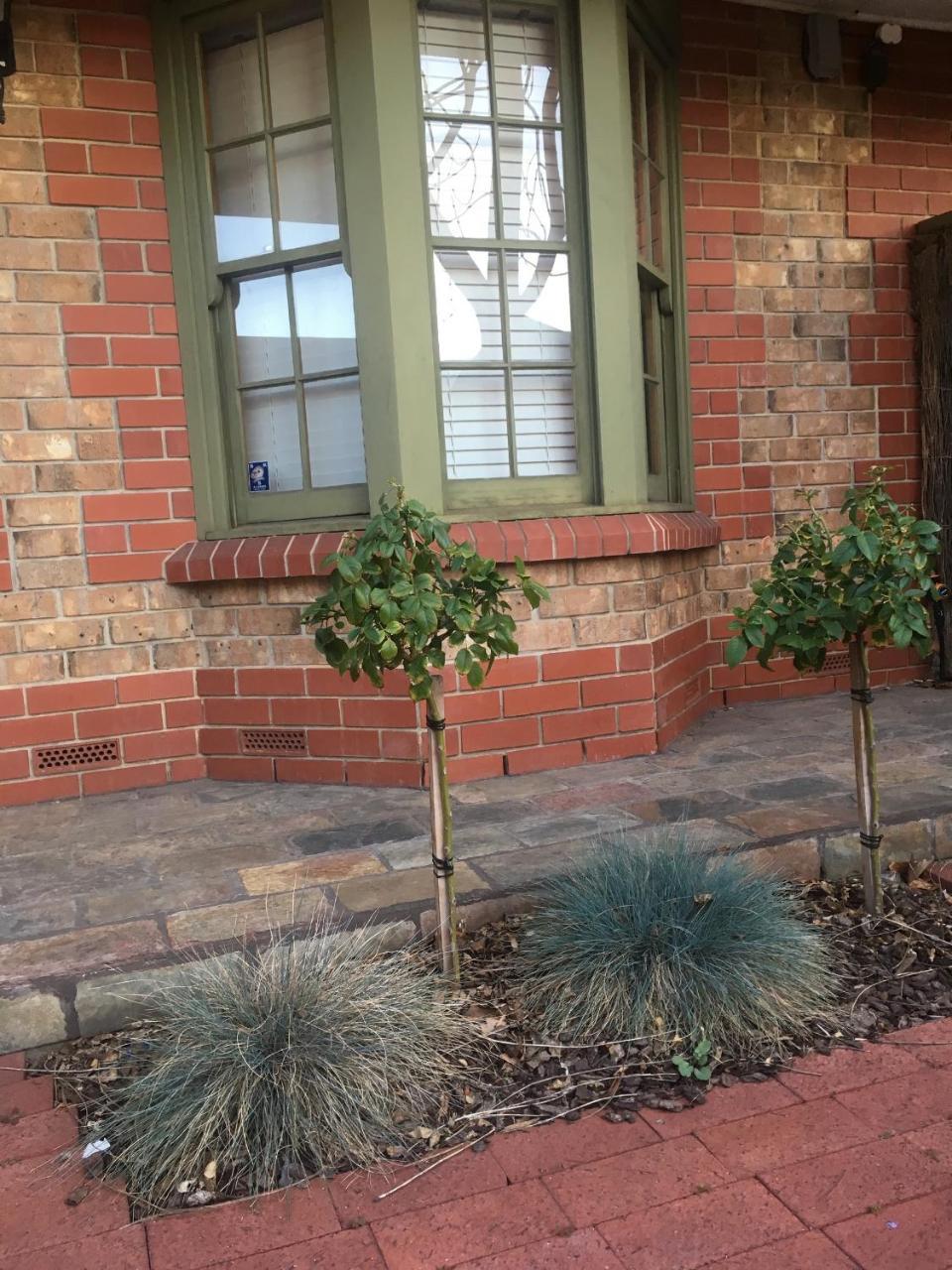 Adelaide Style Accommodation-Getaway In North Adelaide- Close To City ภายนอก รูปภาพ