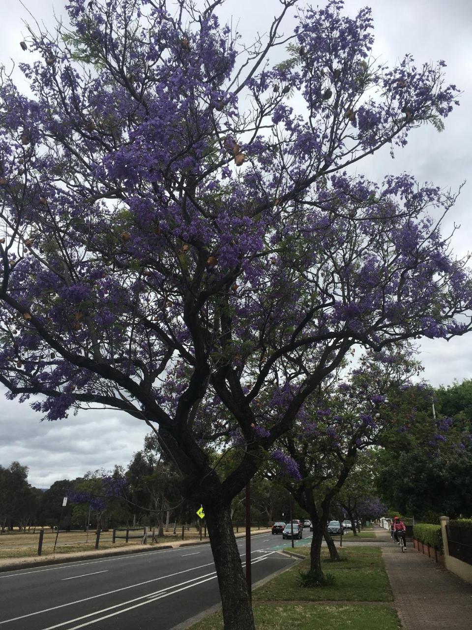 Adelaide Style Accommodation-Getaway In North Adelaide- Close To City ภายนอก รูปภาพ